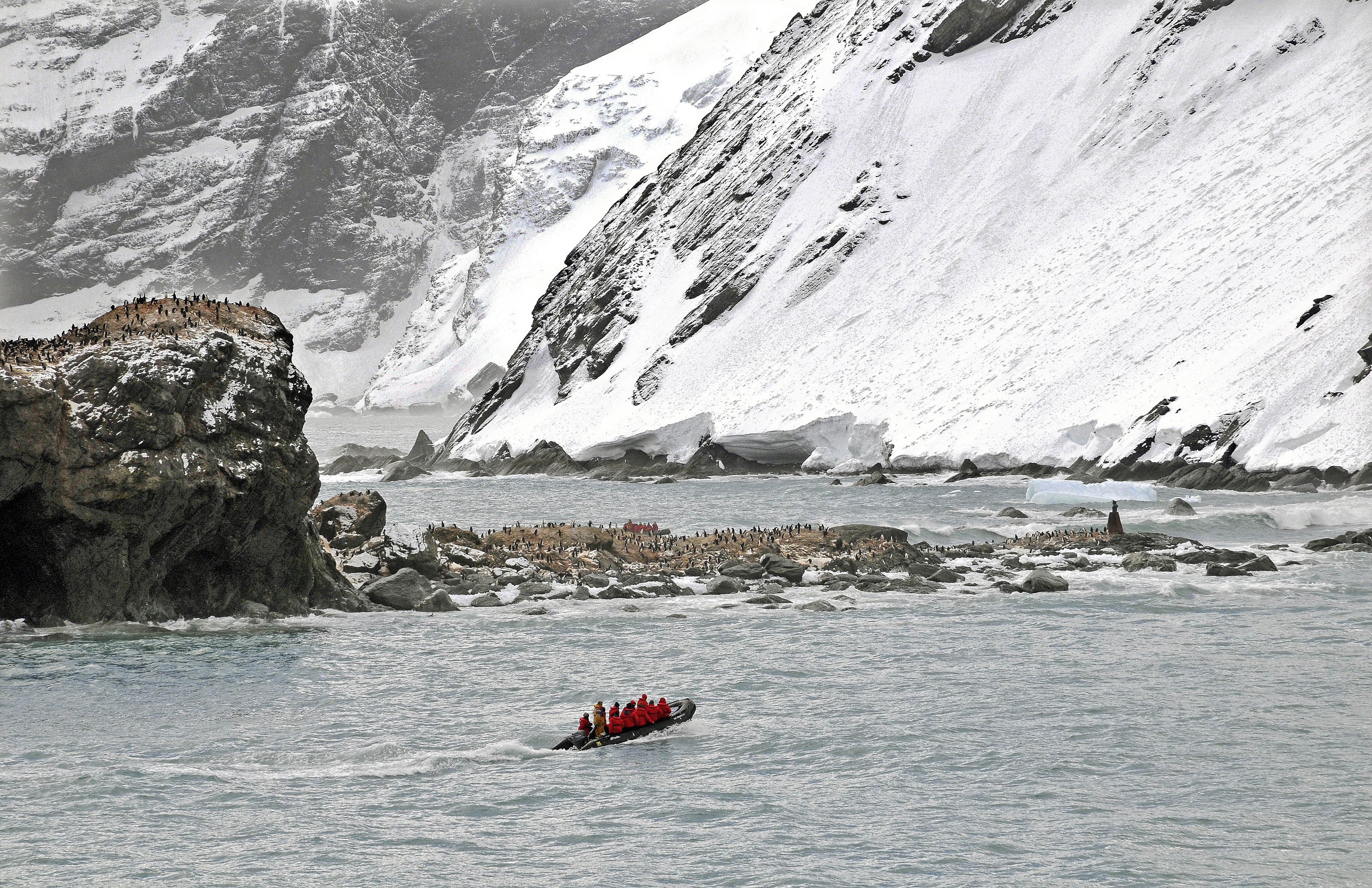 Elephant Island | Shutterbug